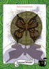 A brown butterfly with a shadow rests before a circle of symbols against a swirling green background. "Winter/Transformation" and "Exercise/Winter" appear near a green apple and the number 16, promoting The Healthy Witch Oracle Cards by Schiffer Publishing, Ltd.