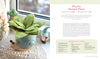 A felt succulent in a snail pot sits on a lace windowsill with ceramic mushrooms. The right page in "HeartFELT Crafts to Make and Give" by Schiffer Publishing, Ltd. shows instructions and materials for this beginner project.