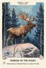 A majestic elk stands on a snowy hill beneath a starry sky, echoing Nordic folklore. The card from Schiffer Publishing’s Nordic Forest Rituals Oracle Cards reads: HIRVI / ELK, WARDEN OF THE WILDS—Reverence | Protection | Cycle of Life.