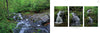 Verdant forest frames a rocky creek along the Appalachian Trail, inviting hikers. Right: Three vertical photos from Schiffer Publishing’s "Iconic and Hidden Gems of the Appalachian Trail" show close-up spring waterfalls.