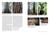 A magazine spread for Schiffer Publishing, Ltd.’s "The Historic Dutch American Barns of New Jersey and Southern New York" features forest scenes, detailed wood textures, twisted branches, and beams in barns, highlighting elements of vernacular architecture.