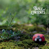 A painted ladybug rock rests on green moss amid scattered twigs and small plants, capturing the spirit of beginner carving projects and sparking inspiration for nature-themed whittling ideas from Adventure Whittling by Schiffer Publishing, Ltd. The table of contents text appears overlaid on the right side of the image.