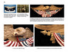 A collage features Bellamy-style eagle carvings from "How to Carve Bellamy Eagles" by Schiffer Publishing, Ltd., with detailed close-ups of the eagle and U.S. flag, plus informative text on woodcarving patterns and project details.