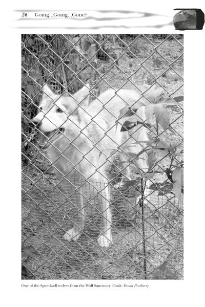 pennsylvania monsters Strange Pennsylvania Monsters – Schiffer Kids