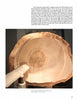 Turning Natural Edge Bowls by Schiffer Publishing, Ltd. features a large, unfinished natural edge bowl on a lathe, with a tool extended inside, ready to shape the bowl during the woodturning process.