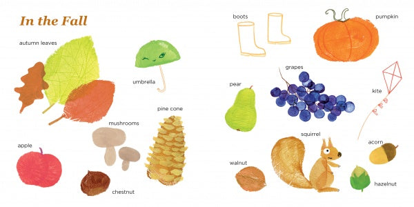 Lili's Seasons by Schiffer Publishing, Ltd. is a picture book for ages 4-8, featuring illustrated, labeled fall items like autumn leaves, apples, mushrooms, a pumpkin, boots, and a red kite—perfect for young readers learning about the seasons.