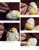 A series of five photos shows hands carving and painting a bird from a wooden egg, with step-by-step text instructions. Ideal for fans of wooden egg carving or the book "Tom Wolfe Carves Egg Heads & Other 'Eggcellent' Things" by Schiffer Publishing, Ltd.