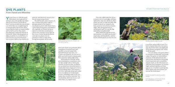 A two-page spread from Schiffer Publishing, Ltd.'s "Natural Dyeing with Plants" features text and six photos of dye plants: green foliage, wildflowers, a garden roof, and scenic mountains for natural dyeing inspiration.