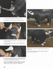 Step-by-step images from "Carving a Bull Fighter & the Bull" by Schiffer Publishing, Ltd. show painting details on a black bull carving, including its tail, eyes made with a hole punch, white horns, and a bullfight-inspired finish.